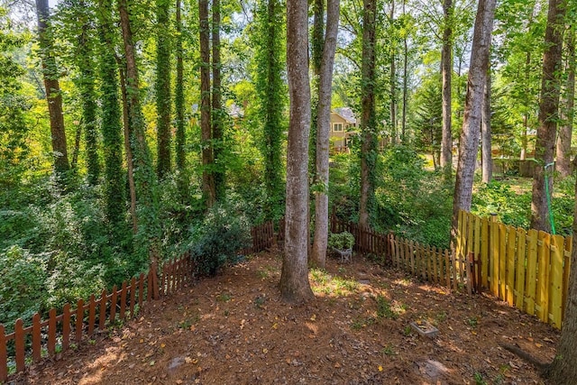 215 E Shefford, Greer, SC 29650 - view of wooded area