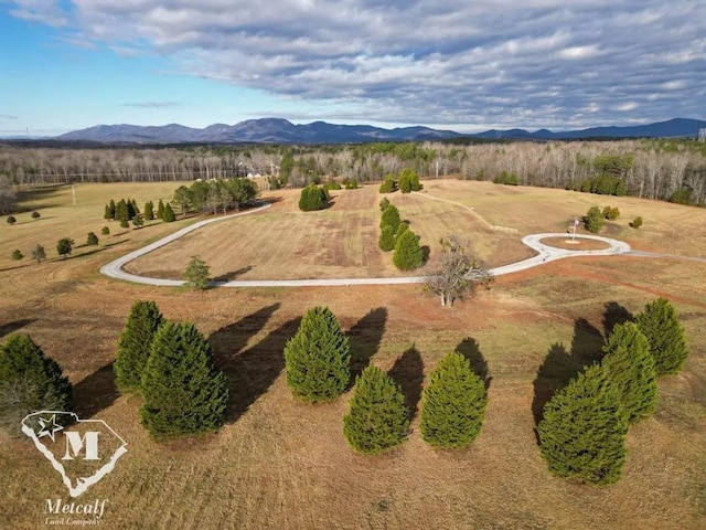540 Bascule Ridge Ln, Campobello, SC 29322