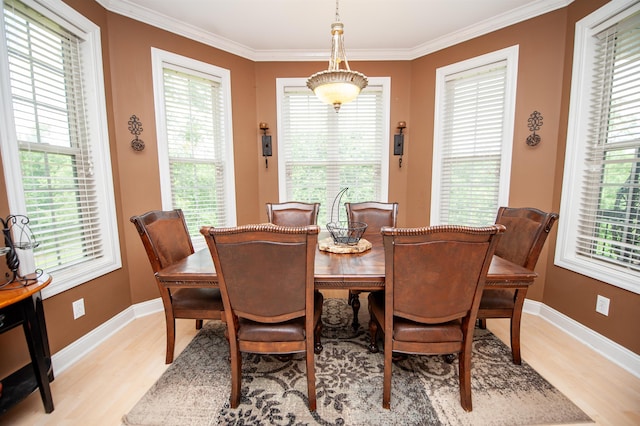 2650 Rainbow Lake Rd, Inman, SC 29349 - dining room featuring light wood-type flooring, ornamental molding, and plenty of natural light