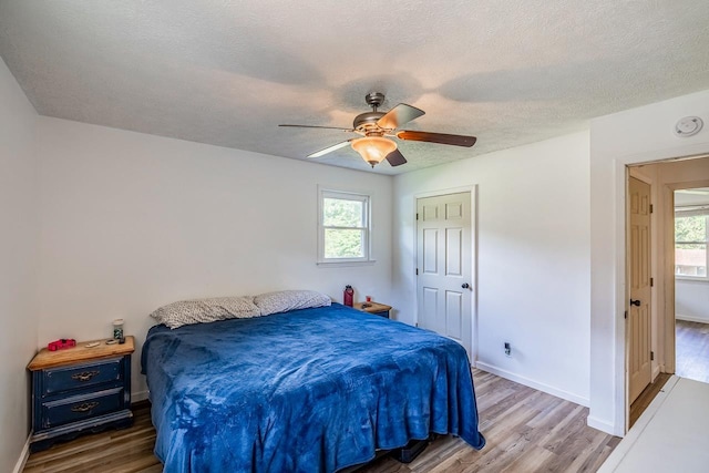13 Thomas, Williamston, SC 29697 - bedroom featuring wood finished floors, multiple windows, a textured ceiling, and a ceiling fan
