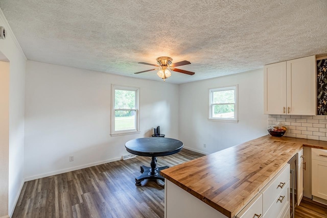 13 Thomas, Williamston, SC 29697 - home office with plenty of natural light, dark wood finished floors, a ceiling fan, and a textured ceiling