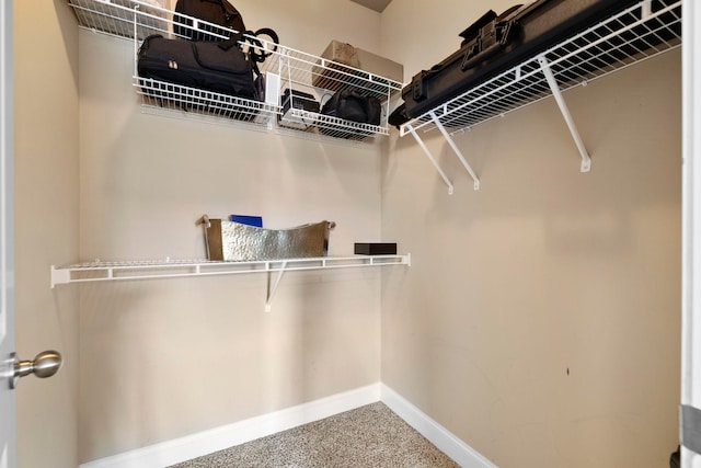 415 Bridge Xing, Simpsonville, SC 29681 - walk in closet with carpet floors