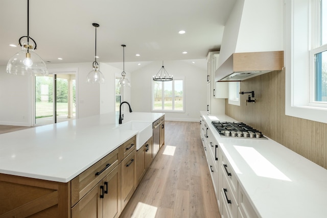 3617 Pennington, Greer, SC 29651 - kitchen with custom exhaust hood, light wood-style floors, appliances with stainless steel finishes, light countertops, and recessed lighting