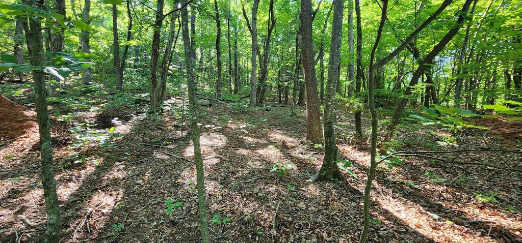 LOT71 Serpentine, Columbus, NC 28722