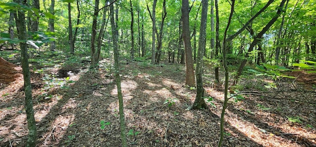 LOT71 Serpentine, Columbus, NC 28722