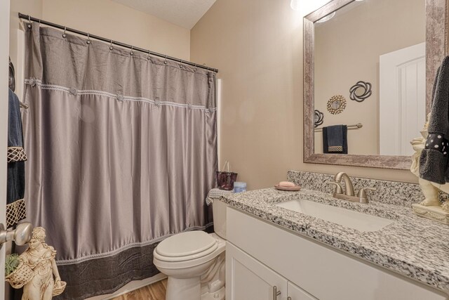 119 W Caylee, Chesnee, SC 29323 - bathroom featuring vanity, wood finished floors, and a shower with curtain