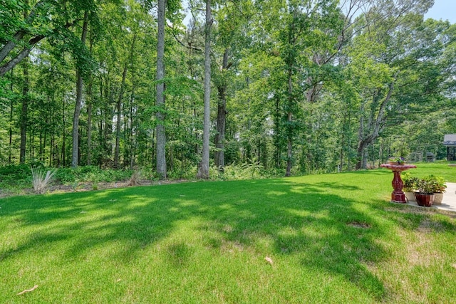119 W Caylee, Chesnee, SC 29323 - view of grassy yard