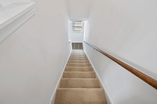 714 Cremello, Moore, SC 29369 - view of stairway
