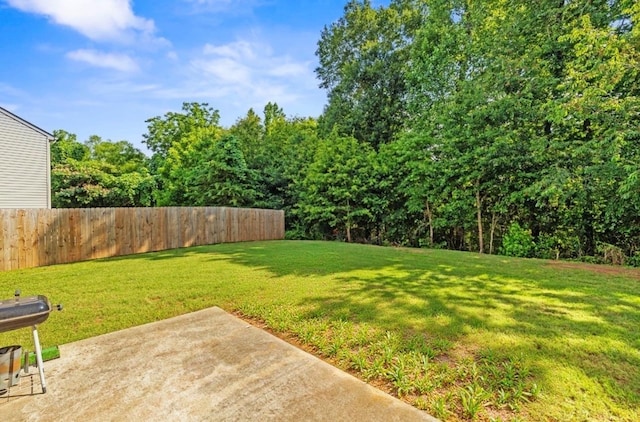 714 Cremello, Moore, SC 29369 - view of yard featuring a patio