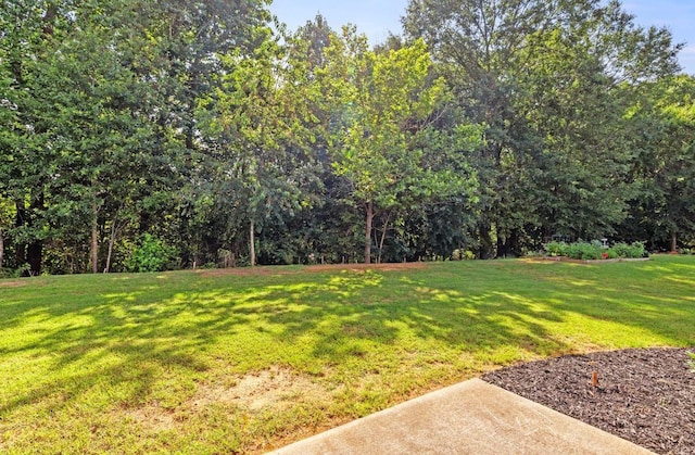 714 Cremello, Moore, SC 29369 - view of green lawn