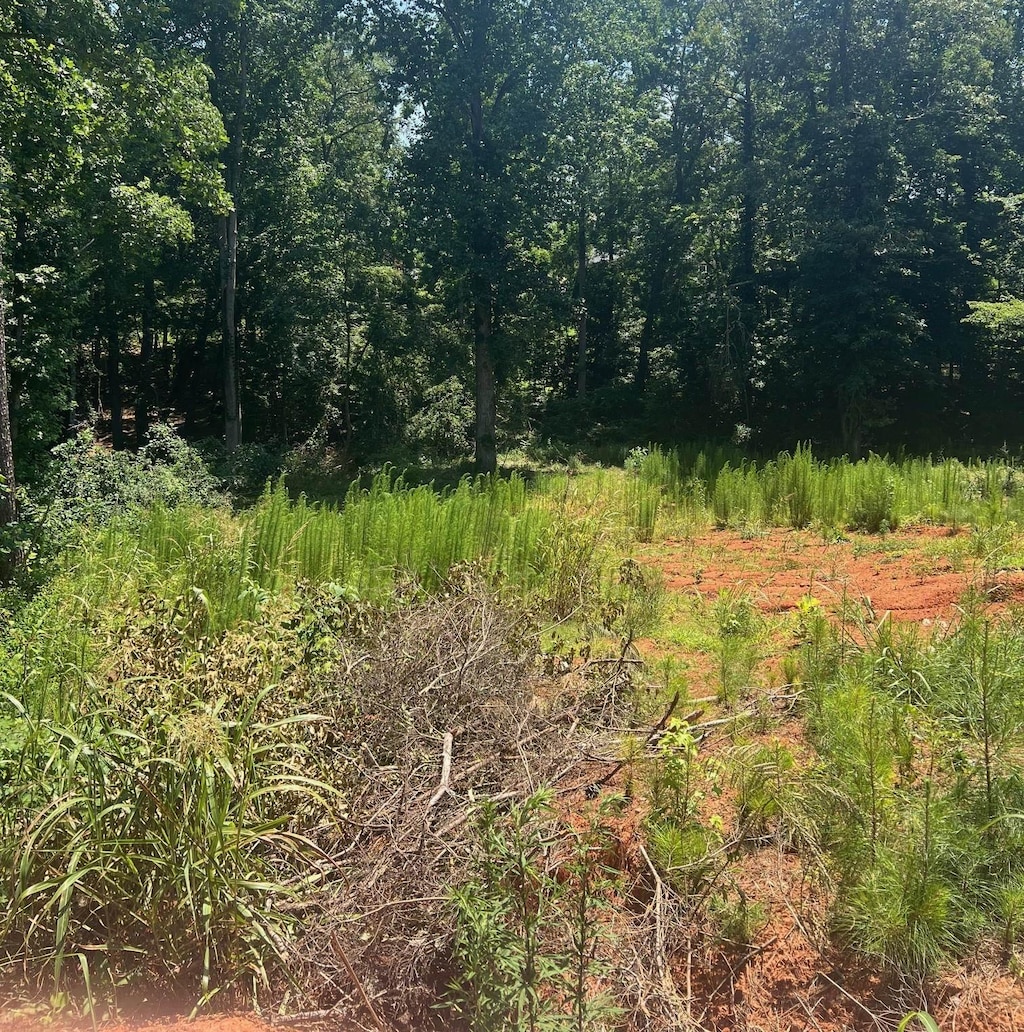 212 Farmington Ct, Moore, SC 29369