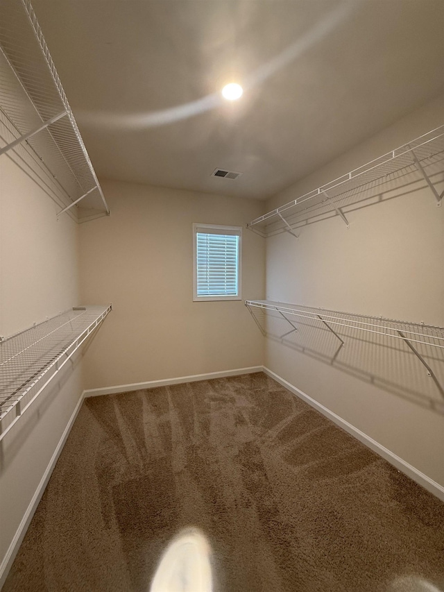 158 Clingstone, Duncan, SC 29334 - spacious closet with carpet