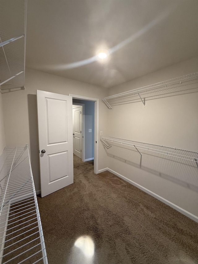 158 Clingstone, Duncan, SC 29334 - walk in closet featuring carpet flooring