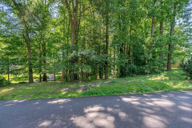 206 Kendrick, Greer, SC 29651
