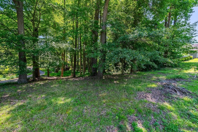 206 Kendrick, Greer, SC 29651