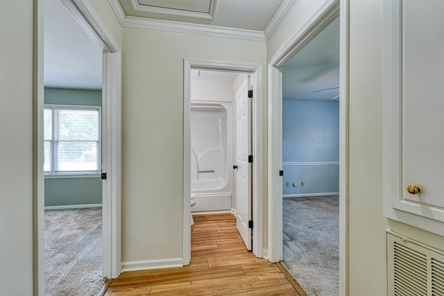 233 Summerfield, Moore, SC 29369 - hallway with light colored carpet, crown molding, and light wood-style flooring