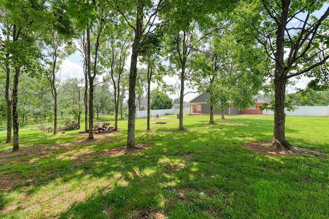 233 Summerfield, Moore, SC 29369 - view of yard
