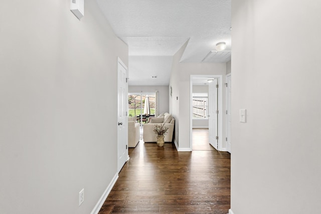 308 Juniper Leaf, Greer, SC 29651 - corridor with dark wood-type flooring and a textured ceiling
