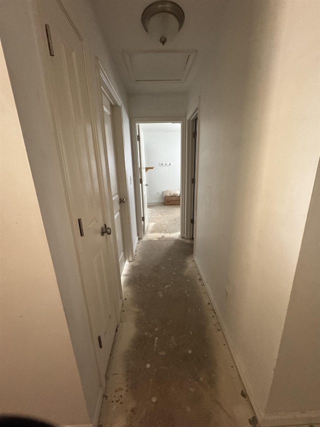 344 Lansdowne, Duncan, SC 29334 - corridor with baseboards
