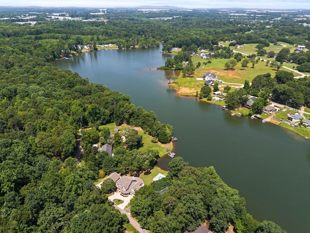 436 S Lakeview, Duncan, SC 29334 - aerial overview of property's location with a forest and a large body of water