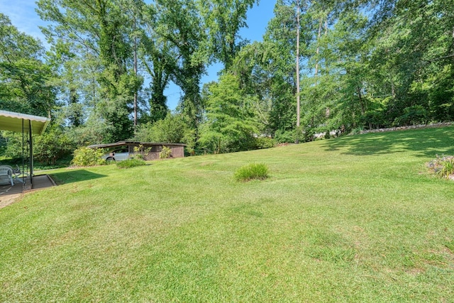 104 Pine, Laurens, SC 29360 - view of green lawn