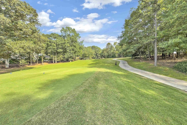 207 Carolina Club Dr, Spartanburg, SC 29306 - view of grassy yard with view of wooded area