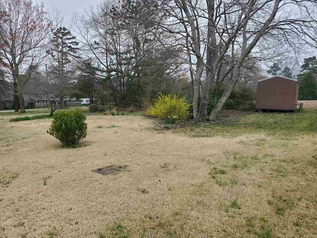 view of yard with a storage shed