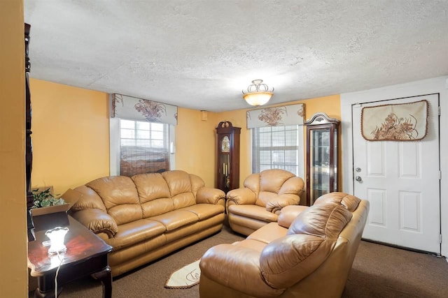 carpeted living room featuring a textured ceiling