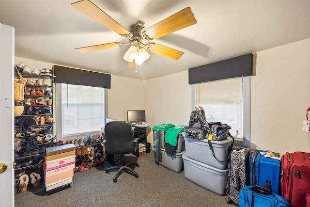 office area with ceiling fan and carpet floors