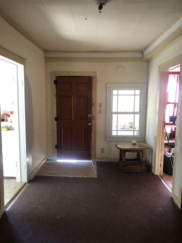 view of carpeted foyer entrance