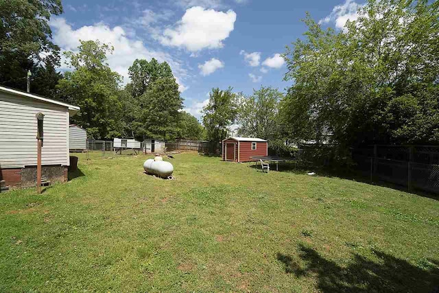 view of yard featuring a storage shed