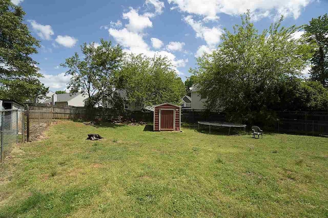 view of yard with a trampoline and a storage shed