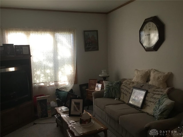 carpeted living room featuring ornamental molding