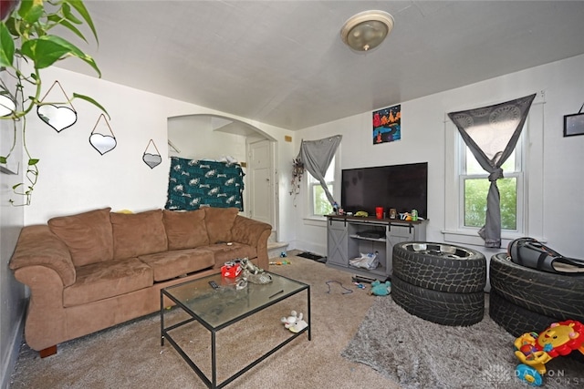 carpeted living room with plenty of natural light