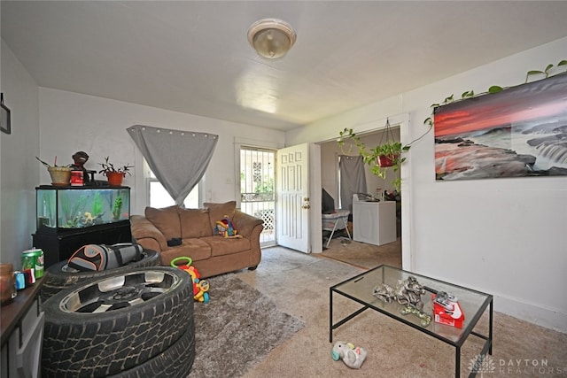 living room with carpet