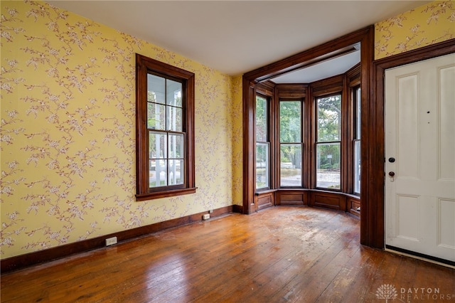 entrance foyer with wood-type flooring and a wealth of natural light