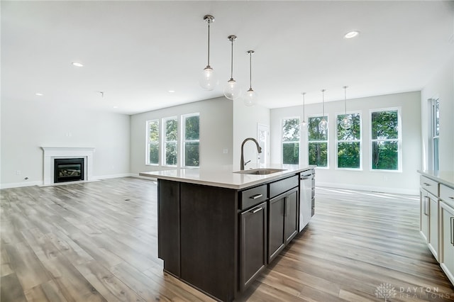 kitchen with sink, plenty of natural light, light hardwood / wood-style floors, and dark brown cabinetry