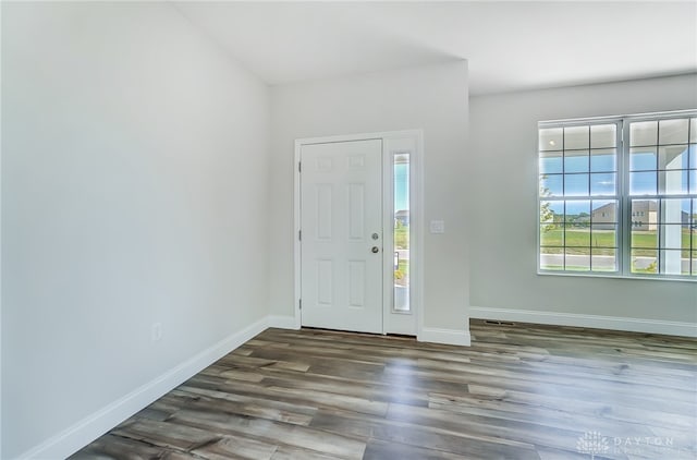 foyer entrance with wood-type flooring