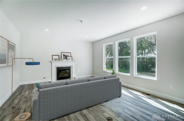 living room featuring a wealth of natural light and hardwood / wood-style floors