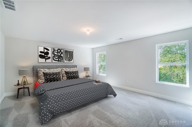 bedroom with carpet floors