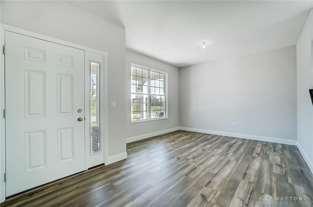 entrance foyer with hardwood / wood-style flooring