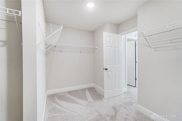 walk in closet with light colored carpet