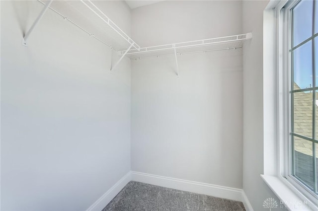 536 Hines Cir, Washington Twp, OH 45458 - spacious closet featuring carpet