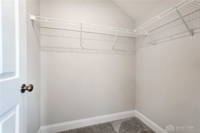 spacious closet featuring carpet flooring