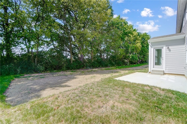 view of yard with a patio area