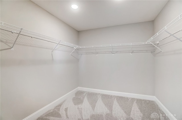 walk in closet with carpet floors