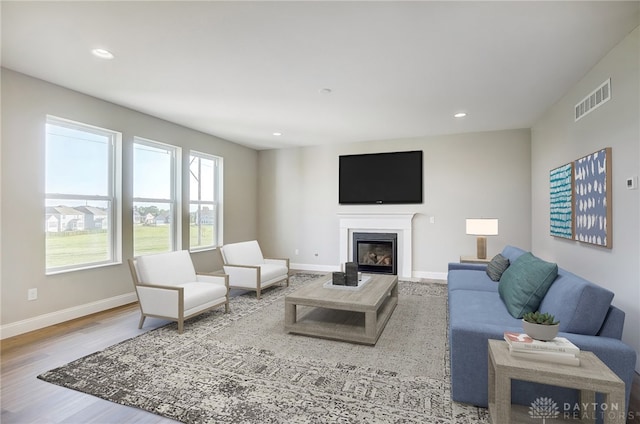 living room with wood-type flooring