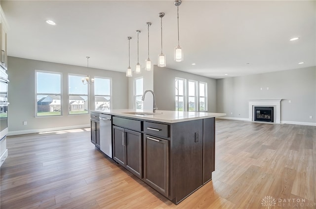 kitchen featuring light wood-type flooring, stainless steel dishwasher, a healthy amount of sunlight, sink, and dark brown cabinets