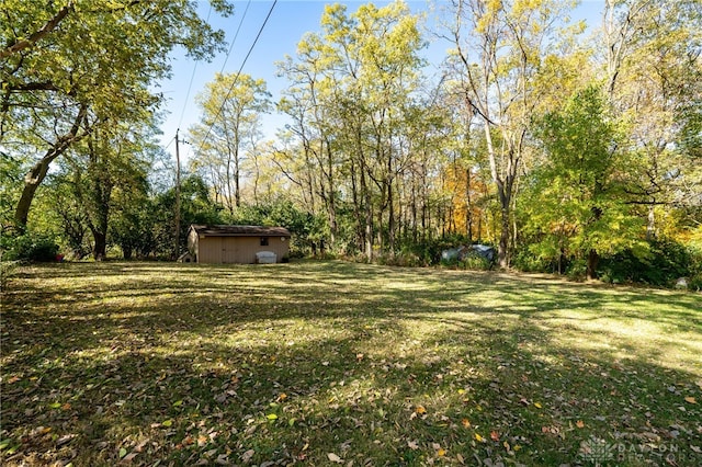 view of yard featuring a storage unit