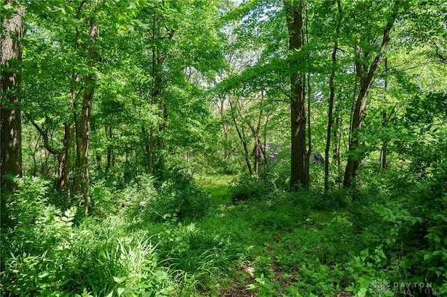 view of landscape